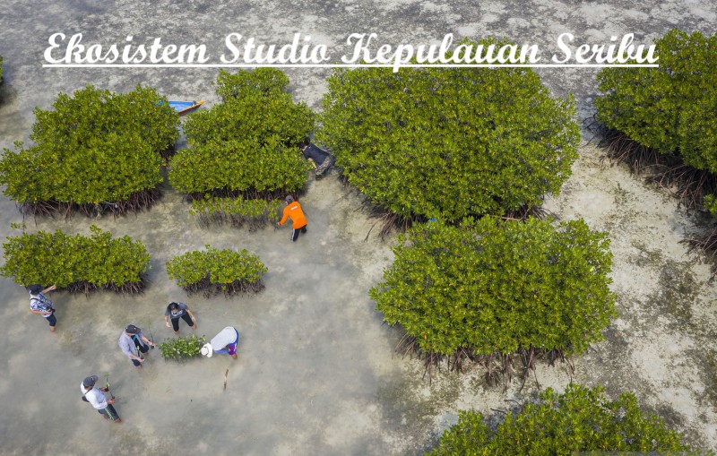 Ekosistem Studio Kepulauan Seribu