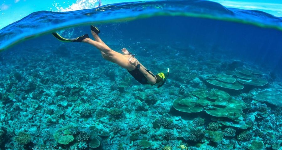 Scuba Diving | Hal Yang Menyenangkan di Lakukan Di Kepulauan Seribu